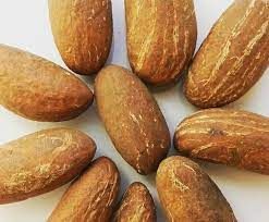 Bitter Kola Nuts from 나이지리아 supplied by NOVA ASTER LTD - Fresh 콜라너트