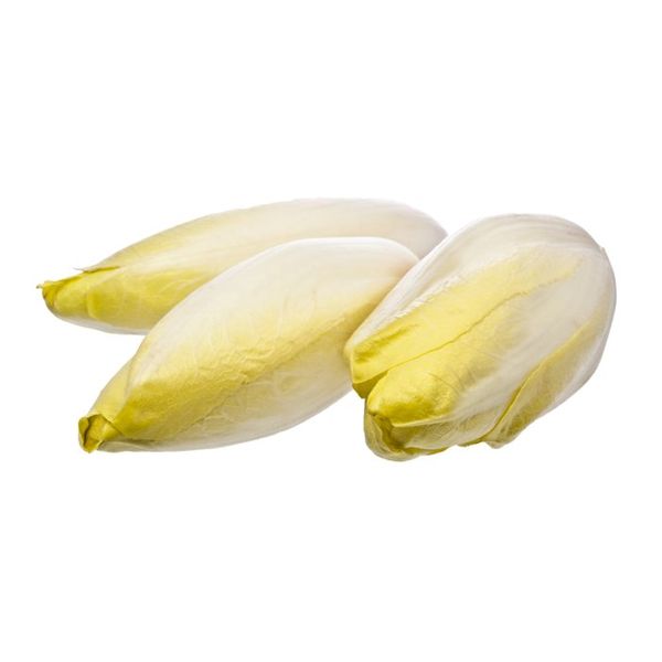 Fresh Chicory from 독일 supplied by Estate Pretschen GmbH & Co. KG - Whole 치커리