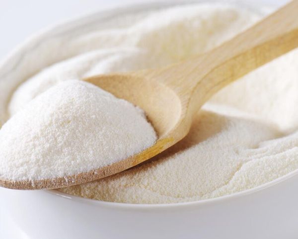 High Heat Skimmed Milk Powder from 프랑스 supplied by EPI Ingredients - Powder 우유