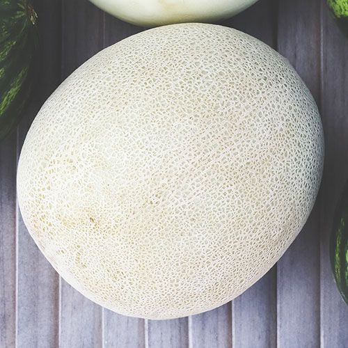 Melon from 미국 supplied by L & M - 노란색 과육 신선 멜론(머스크 멜론)