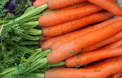 fresh carrots from 폴란드 supplied by POLSWEET Sp. z o.o. - Orange 신선 당근