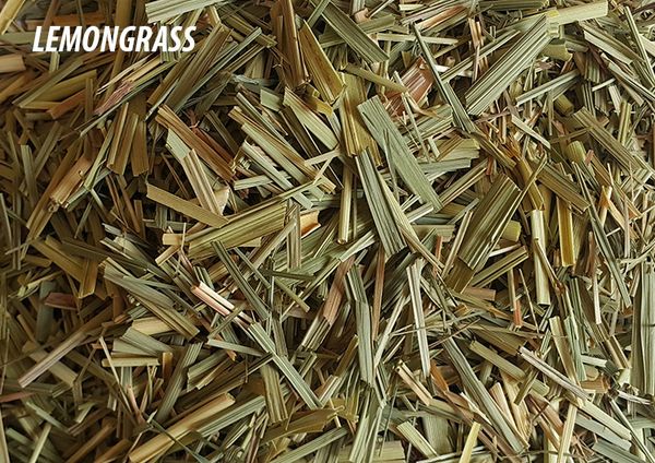 Lemongrass from 이집트 supplied by NABIL MORSI CO. - Dried (=Dehydrated) 레몬그라스