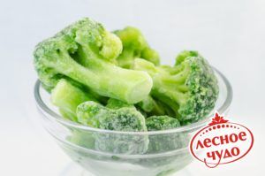 Broccoli from 러시아 supplied by LLC OLPK - Green 신선 브로콜리 꽃