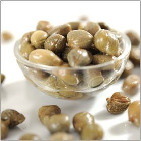 Fermented Caper from 튀르키예 supplied by Avod Dried Food And Agricultural Products Ltd. - Jar 케이퍼 가공품
