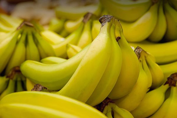 Banana from 인도 supplied by Aurobindo enterprises - 표준 신선 바나나