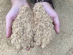 Rice Husk from 파키스탄 supplied by Hussaini Seeds Corporation - Crushed 왕겨