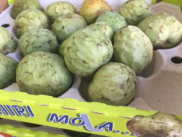 fresh custard apple from Spain supplied by Natural Tropic S.l. - Fresh (=Chilled) Fresh Custard Apple