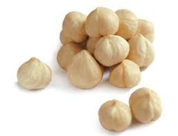 Raw Hazelnut from United Kingdom supplied by SUN VALLEY LTD - Nibs Hazelnut Kernel