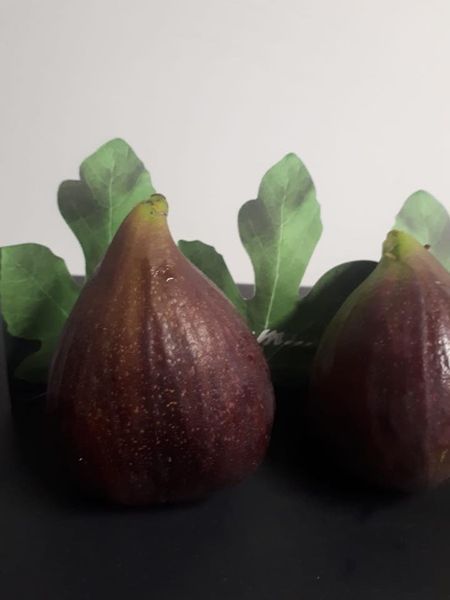 Fresh Fig from Italy supplied by Andretta Mario & Co. Fruchthandels GmbH - Fresh Fresh Fig