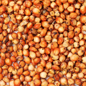 Sorghum from 멕시코 supplied by Bojormex - Red 수수