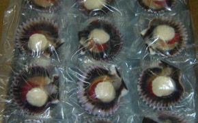 Stem and Coral Scallop - ROE ON from Peru supplied by Acuacultura Y Pesca S.A.C - Vacuum Packed (=VAC) Frozen Scallop