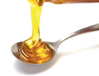 Premium Agave Syrup from 멕시코 supplied by Best Ground International - Organic 아가베 시럽