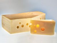 Emmental Cheese from 독일 supplied by Dairy Niesky GmbH - Block 에멘탈 치즈