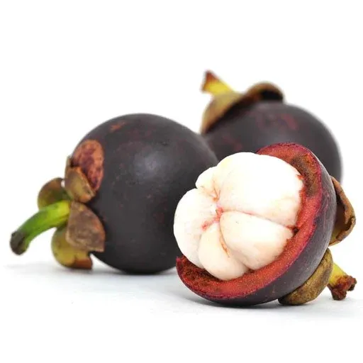 Mangosteen from 프랑스 supplied by Primouest Impex - Whole 신선 망고스틴