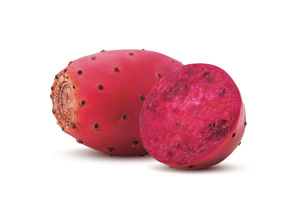 fresh prickly pear from Mexico supplied by Spectrum Fruits - Concentrate Prickly Pear