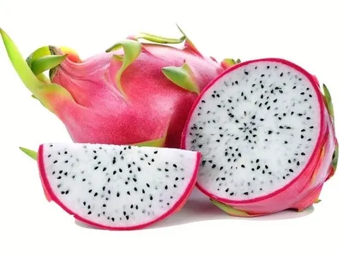 Dragon Fruit from 베트남 supplied by Vinagrin Import Export Company Limited - White Flesh 신선 용과