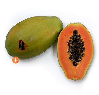 Mamão Papaya Golden from Brazil supplied by Norte Frut - Orange Flesh Fresh Papaya