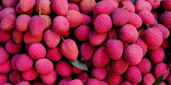 Lychee from South Africa supplied by Afrupro Marketing (Pty) Ltd - Fresh Lychee