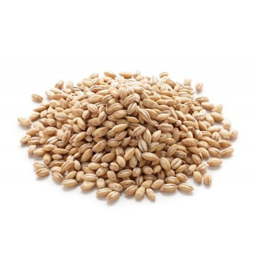 Barley from 오스트리아 supplied by Glatz GmbH - Malting Barley 보리