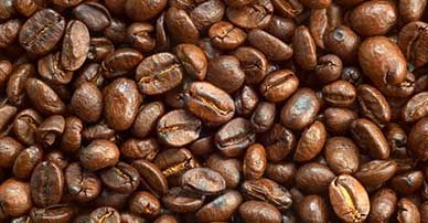 Coffee Bean from 인도 supplied by Nth Level Exporters LLP - 갈색 볶은 원두