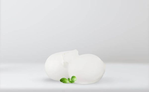 Lactose-free buffalo mozzarella from Italy supplied by Caseificio Corvino - Ball Mozzarella Cheese