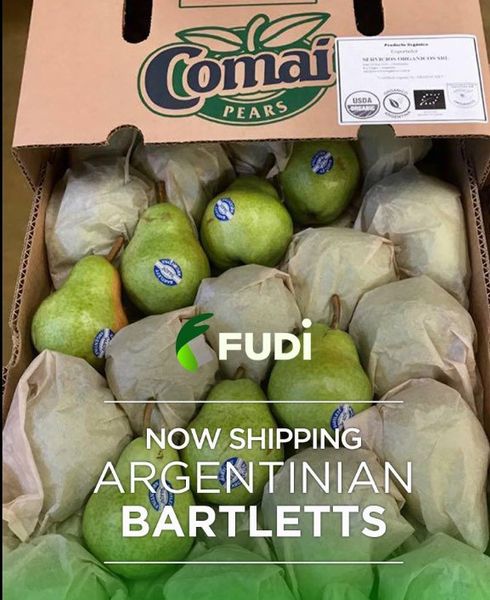 Fresh Pear from 아르헨티나 supplied by Fudi Food Corp - Green 신선 배