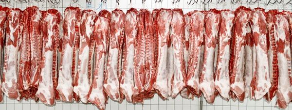 Fresh Pork from 벨기에 supplied by Belgian Sopraco Group - Medium 신선 돼지고기 햄 및 목살