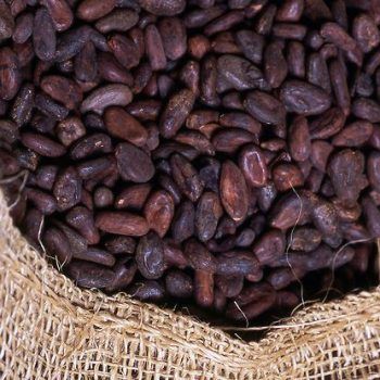 Cocoa from 베트남 supplied by Exportadora Importadora & Distribuidora Peru Nutrition S.A.C. - Powder 코코아콩