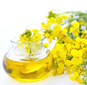 Rapeseed Oil from Romania supplied by Leuzzi Famile Impex Srl - Rapeseed Oil Crude Canola Oil & Rapeseed Oil