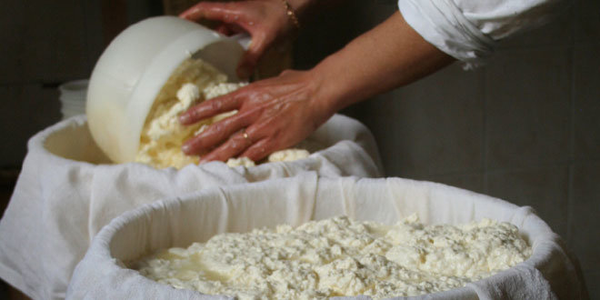 Whey Protein from Turkiye supplied by SARP AJANS - As per customer's request Whey Protein Concentrates