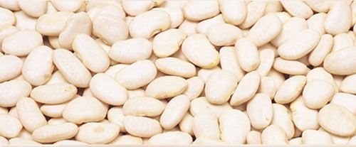 White Flat Bean from 미얀마 [버마] supplied by Myawaddy Trading Limited - Flat 말린 일반 콩