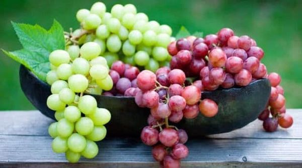Grapes from Australia supplied by Efresh Pty Ltd - Green Fresh Grape