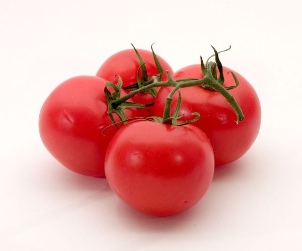 Fresh Tomato from 이란 supplied by Negarestan Mehr Rezvan Company (NMR Co) - Whole 신선 토마토
