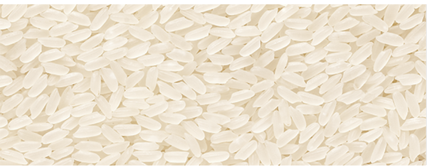 Carolino Rice from 포르투갈 supplied by Novarroz - White 쌀