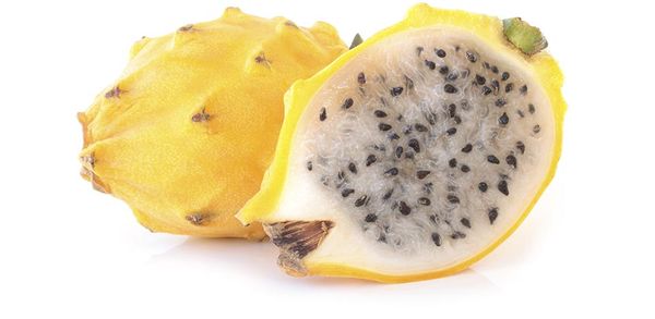 Yellow Dragon Fruit from 에콰도르 supplied by EcuaExotics - 옐로우 피타하야 신선 용과