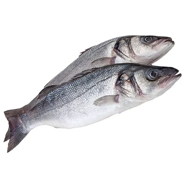 Seabass from 튀르키예 supplied by Fish delicatesse - With Bone 냉동 농어