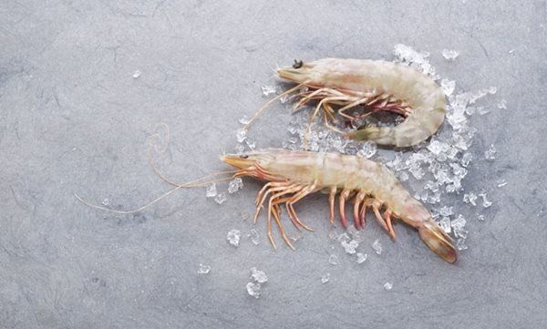Wild Catch Tropical Prawns from 벨기에 supplied by Shore - Shrimp Organisation Europe | Morubel nv - Carton Box (6kg) (=Cardboard Box) 냉동 새우