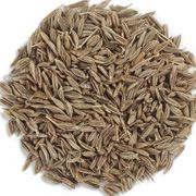 Cumin Seed from 말레이시아 supplied by Bhanderi Groups Sdn Bhd - Brown 커민 씨