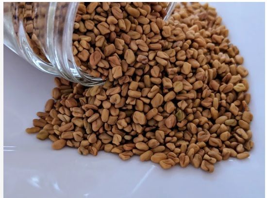 Whole Fenugreek Seeds from 뉴질랜드 supplied by Hauraki Home Brew Services 2003 Limited - Whole 호로파 씨