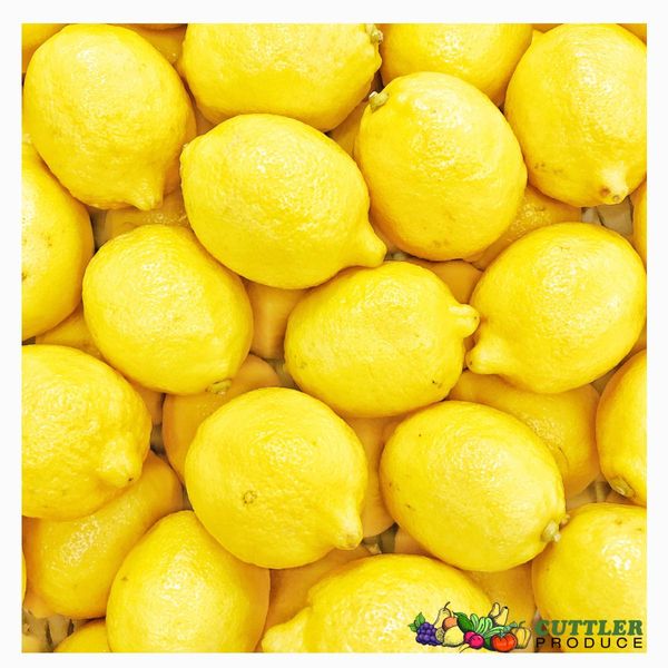 Fresh Lemon from 미국 supplied by Cuttler Produce - Yellow 신선 레몬