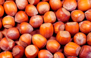 Hazelnut from 포르투갈 supplied by Cooperativa Agricola de Penela da Beira, C.R.L. - Whole 헤이즐넛 알맹이