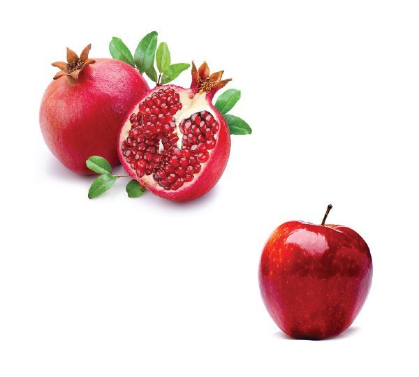 Pomegranate from 네덜란드 supplied by Masr fruit - Red 신선 석류