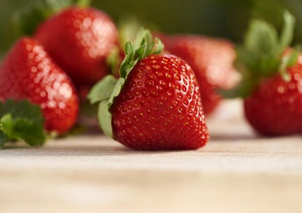 Fresh Strawberries from 멕시코 supplied by Driscolls Operaciones - Plastic Punnets (=Clamshells) 신선 딸기