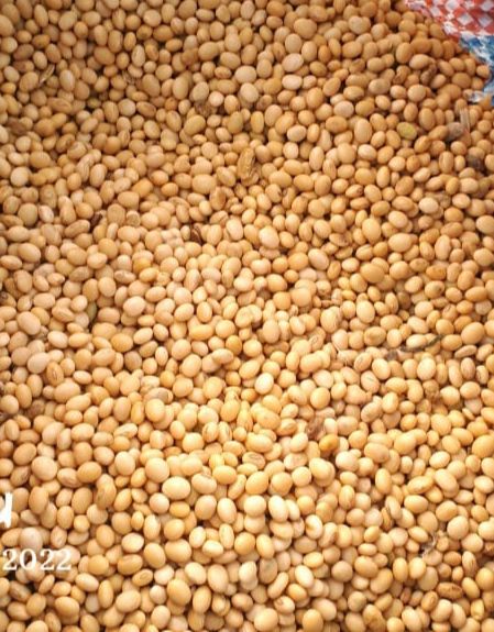 Soybean from 가나 supplied by Walnan 4 Agro Commodities Services - Farmed 대두