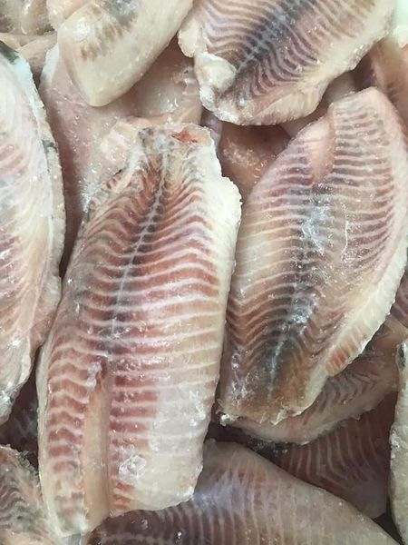 frozen cod from 브라질 supplied by Marítimos Pescados - Fillet 냉동 대서양 대구