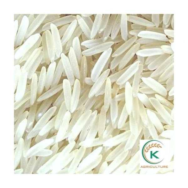 Vietnam IR504 Long-Grain White Rice 10% Broken from 베트남 supplied by K Agriculture - IR 50404 (=IR 504=Vietnamese Rice 504) 쌀