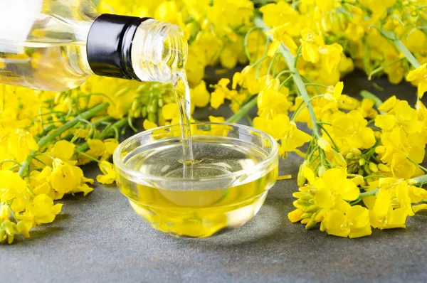 canola oil from Australia supplied by Manildra Meat Company - Canola Oil Crude Canola Oil & Rapeseed Oil