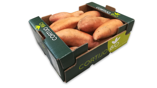 Fresh Sweet Potato from 스페인 supplied by El Cortijo Bio SL - Washed 고구마