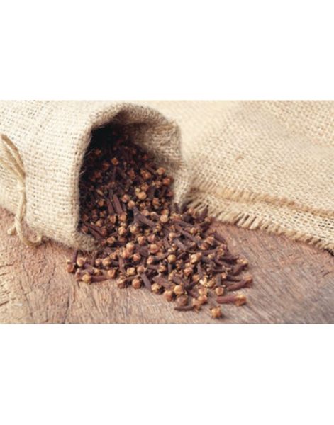 Clove from 마다가스카르 supplied by Samba Vanilla - Whole 통정향
