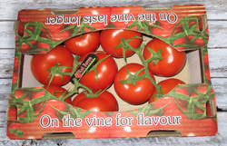 Tomato from South Africa supplied by RED BARON Tomatoes - Red Fresh Tomato